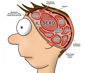 cerebro