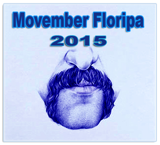 Bigode Movember Floripa