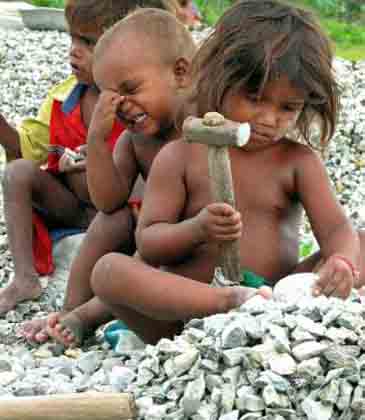 Quase 260 mil crianças estão envolvidas com o trabalho infantil no Brasil