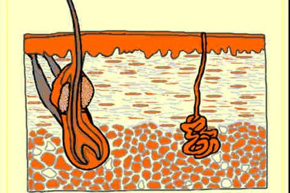 mineralograma
